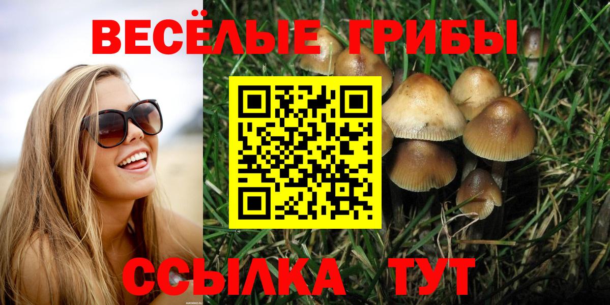 Семёнов  Галлюциногенные грибы Magic Shrooms  Вход с VPN 